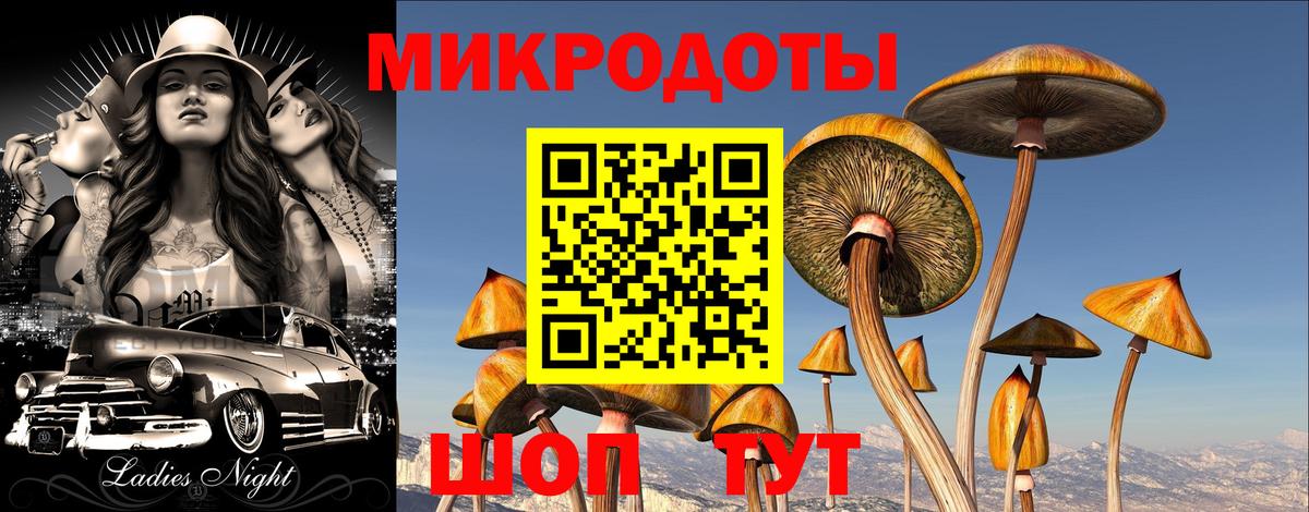 Псилоцибиновые грибы Magic Shrooms  Вход с VPN  Псилоцибиновые грибы Cubensis  Вичуга 